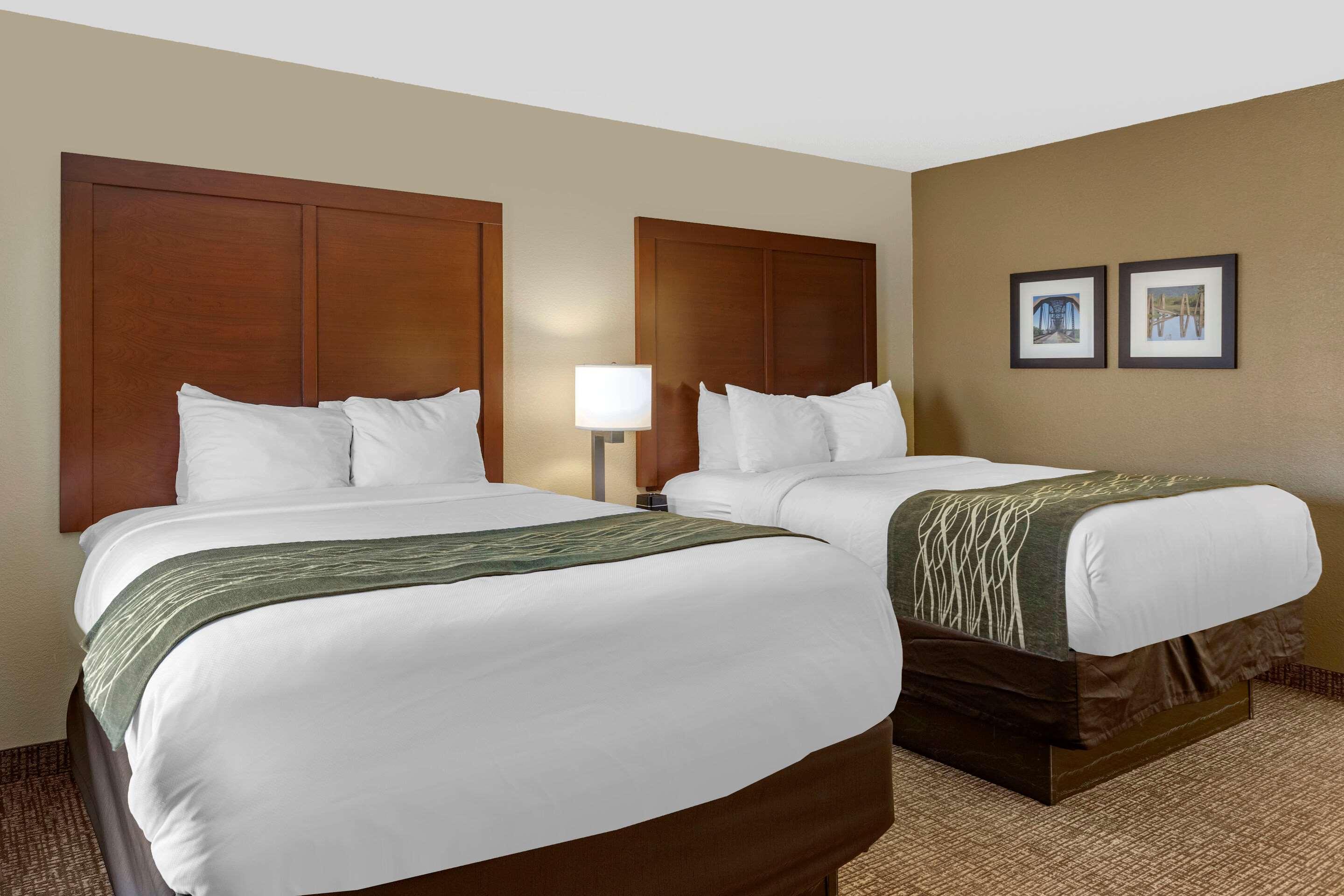 Comfort Inn & Suites Airport Литъл Рок Екстериор снимка